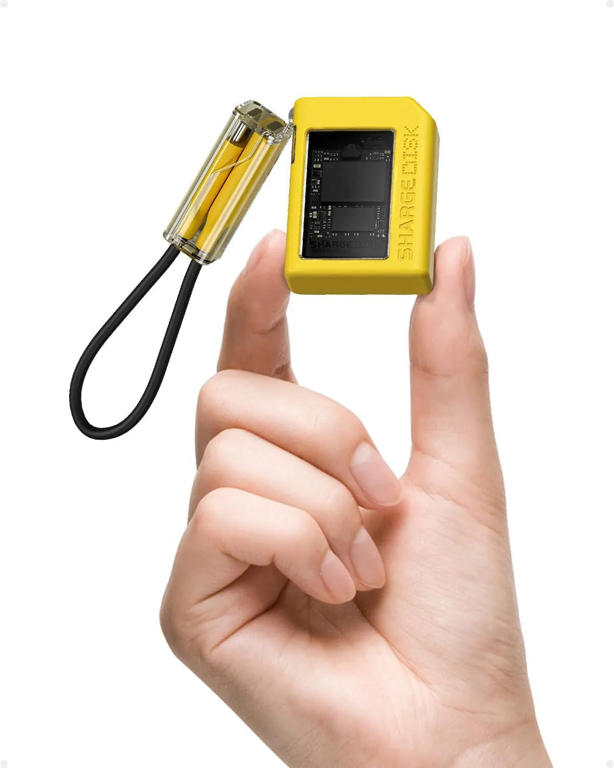 Sharge disk, sharge disk ssd